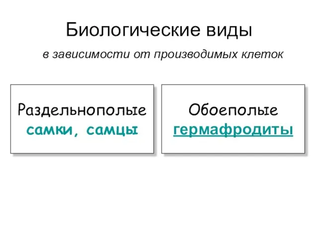 Биологические виды в зависимости от производимых клеток Раздельнополые самки, самцы Обоеполые гермафродиты