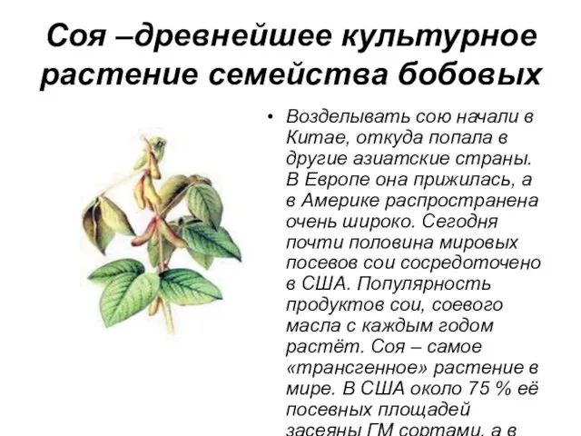 Соя –древнейшее культурное растение семейства бобовых Возделывать сою начали в Китае, откуда