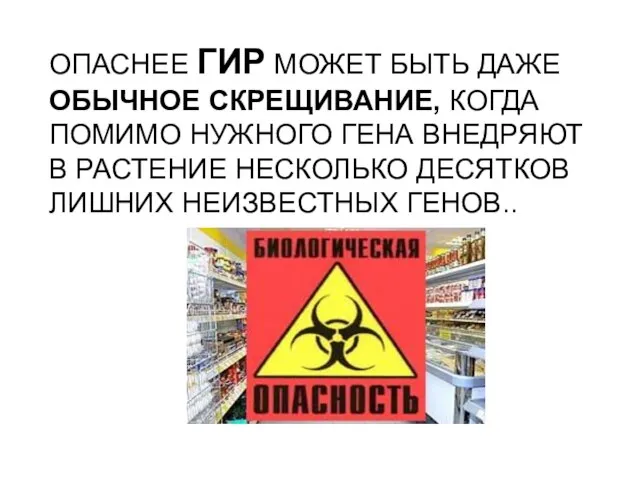 ОПАСНЕЕ ГИР МОЖЕТ БЫТЬ ДАЖЕ ОБЫЧНОЕ СКРЕЩИВАНИЕ, КОГДА ПОМИМО НУЖНОГО ГЕНА ВНЕДРЯЮТ