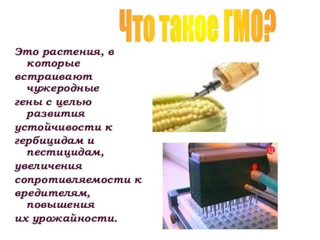 Это растения, в которые встраивают чужеродные гены с целью развития устойчивости к