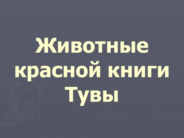 Животные красной книги Тувы