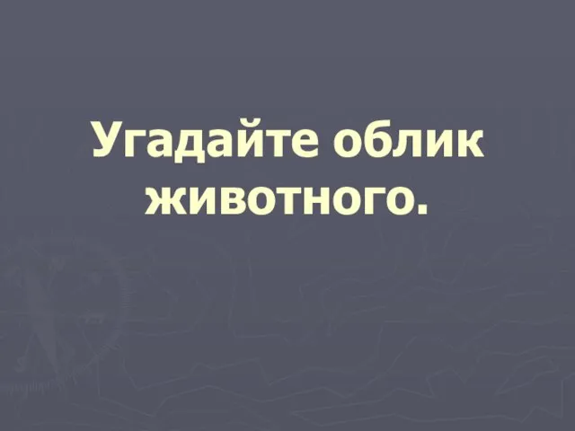 Угадайте облик животного.