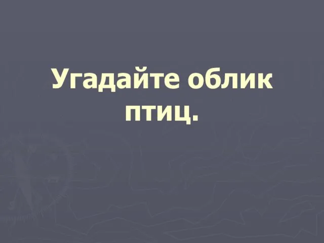 Угадайте облик птиц.