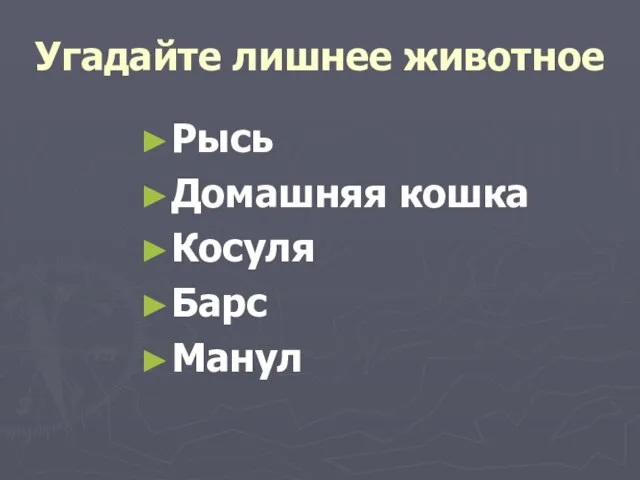 Угадайте лишнее животное Рысь Домашняя кошка Косуля Барс Манул