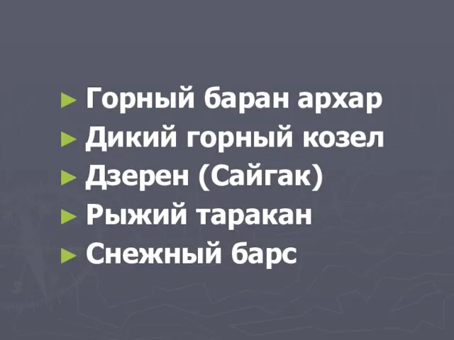 Горный баран архар Дикий горный козел Дзерен (Сайгак) Рыжий таракан Снежный барс