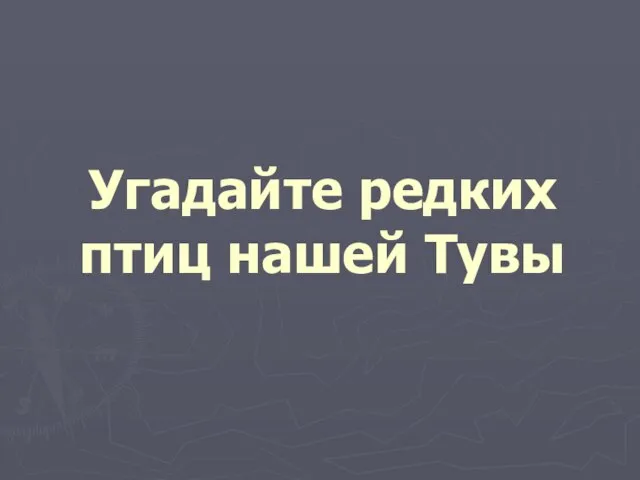 Угадайте редких птиц нашей Тувы