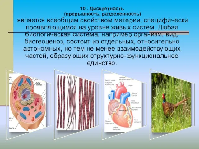 10 . Дискретность (прерывность, разделенность) является всеобщим свойством материи, специфически проявляющимся на