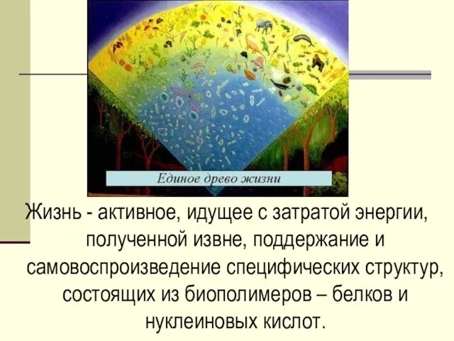 Жизнь - активное, идущее с затратой энергии, полученной извне, поддержание и самовоспроизведение