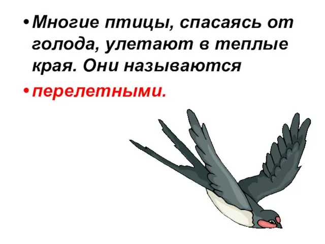 Многие птицы, спасаясь от голода, улетают в теплые края. Они называются перелетными.