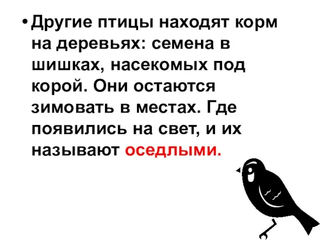 Другие птицы находят корм на деревьях: семена в шишках, насекомых под корой.