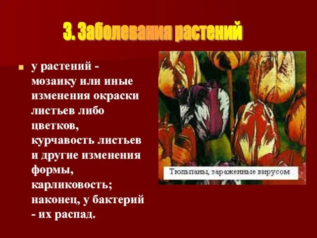 у растений - мозаику или иные изменения окраски листьев либо цветков, курчавость