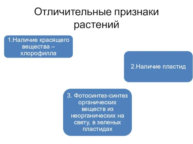 Отличительные признаки растений 1.Наличие красящего вещества – хлорофилла 2.Наличие пластид 3. Фотосинтез-синтез