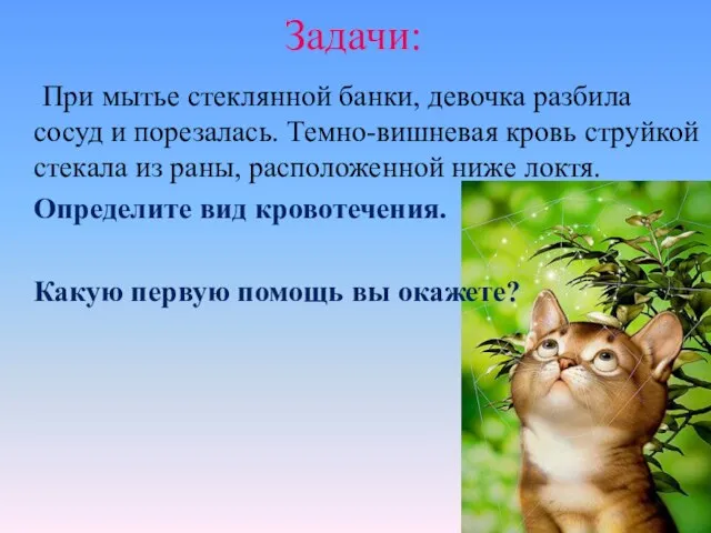 Задачи: При мытье стеклянной банки, девочка разбила сосуд и порезалась. Темно-вишневая кровь