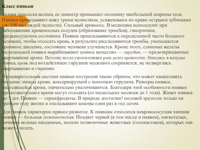 Класс пиявки Задняя присоска велика, ее диаметр превышает половину наибольшей ширины тела.