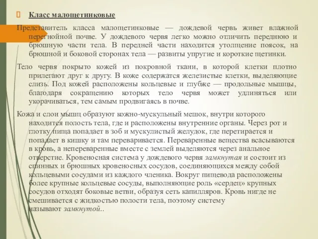 Класс малощетинковые Представитель класса малощетинковые — дождевой червь живет влажной перегнойной почве.