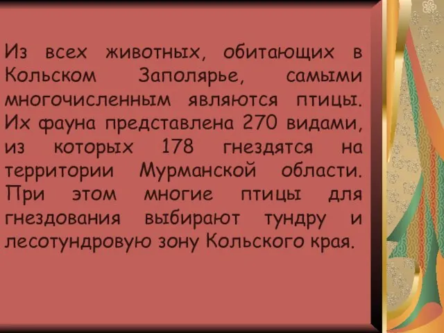 Из всех животных, обитающих в Кольском Заполярье, самыми многочисленным являются птицы. Их