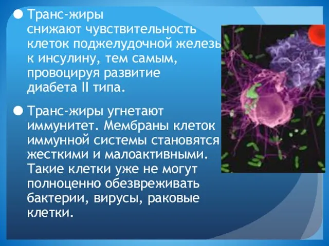 Транс-жиры снижают чувствительность клеток поджелудочной железы к инсулину, тем самым, провоцируя развитие