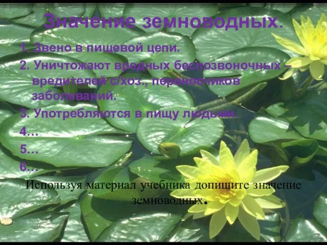 Значение земноводных. 1. Звено в пищевой цепи. 2. Уничтожают вредных беспозвоночных –