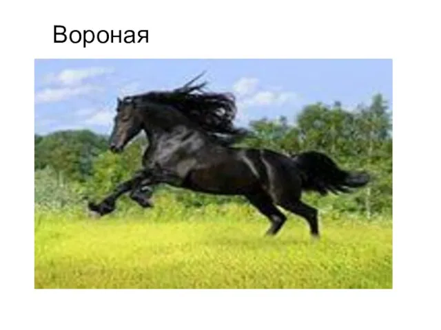 Вороная