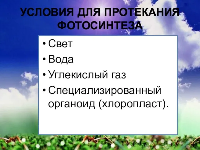 Условия для протекания фотосинтеза Свет Вода Углекислый газ Специализированный органоид (хлоропласт).