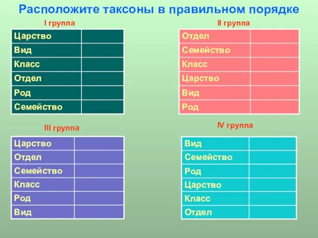 Расположите таксоны в правильном порядке IV группа III группа I группа II группа