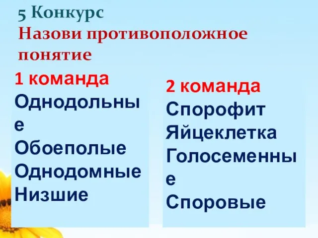 5 Конкурс Назови противоположное понятие 2 команда Спорофит Яйцеклетка Голосеменные Споровые 1