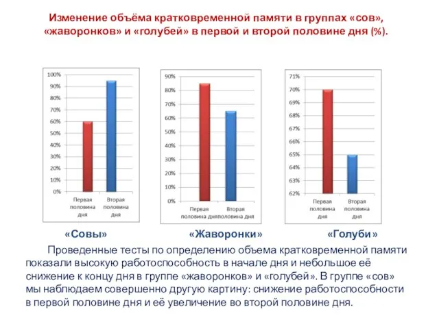 Изменение объёма кратковременной памяти в группах «сов», «жаворонков» и «голубей» в первой