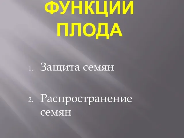 Функции плода Защита семян Распространение семян