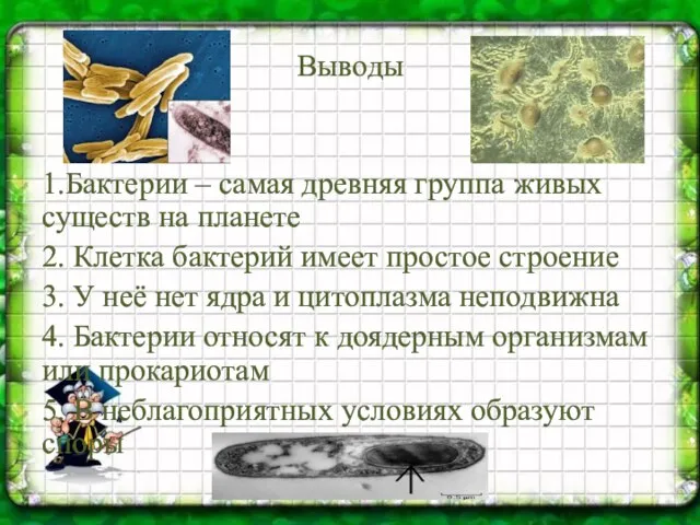 Выводы 1.Бактерии – самая древняя группа живых существ на планете 2. Клетка