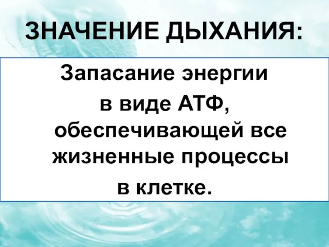 Значение дыхания: Запасание энергии в виде АТФ, обеспечивающей все жизненные процессы в клетке.