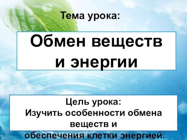 Обмен веществ и энергии Тема урока: Цель урока: Изучить особенности обмена веществ и обеспечения клетки энергией.