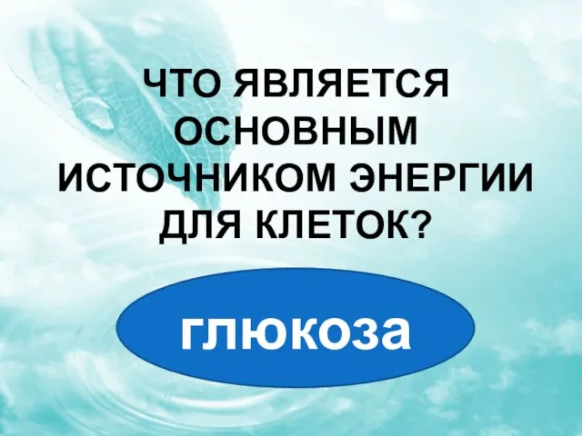 Что является основным источником энергии для клеток? глюкоза