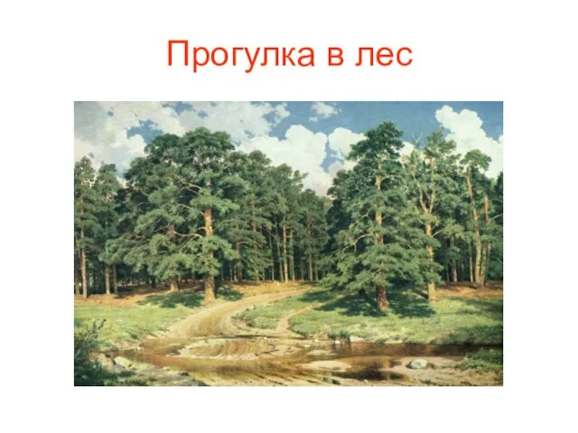 Прогулка в лес