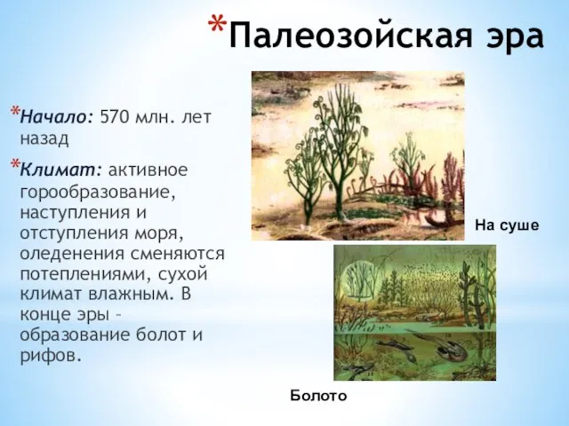 Палеозойская эра Начало: 570 млн. лет назад Климат: активное горообразование, наступления и