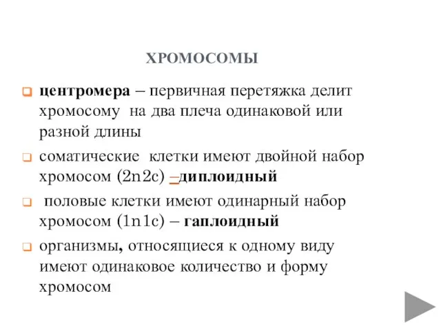 хромосомы центромера – первичная перетяжка делит хромосому на два плеча одинаковой или