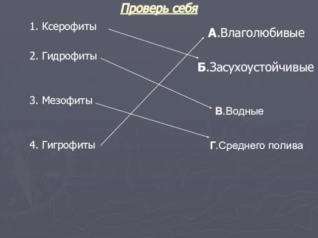 Проверь себя 1. Ксерофиты 2. Гидрофиты 3. Мезофиты 4. Гигрофиты А.Влаголюбивые Б.Засухоустойчивые В.Водные Г.Среднего полива