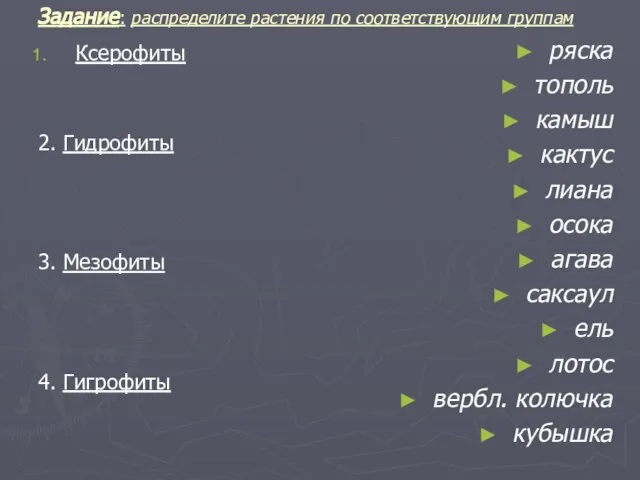 Задание: распределите растения по соответствующим группам Ксерофиты 2. Гидрофиты 3. Мезофиты 4.