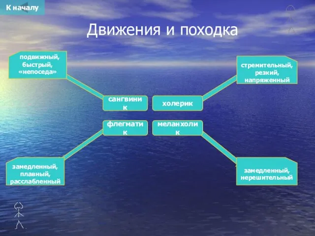 Движения и походка сангвиник холерик флегматик меланхолик стремительный, резкий, напряженный подвижный, быстрый,