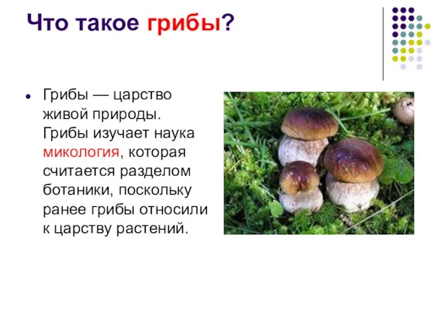 Что такое грибы? Грибы — царство живой природы. Грибы изучает наука микология,