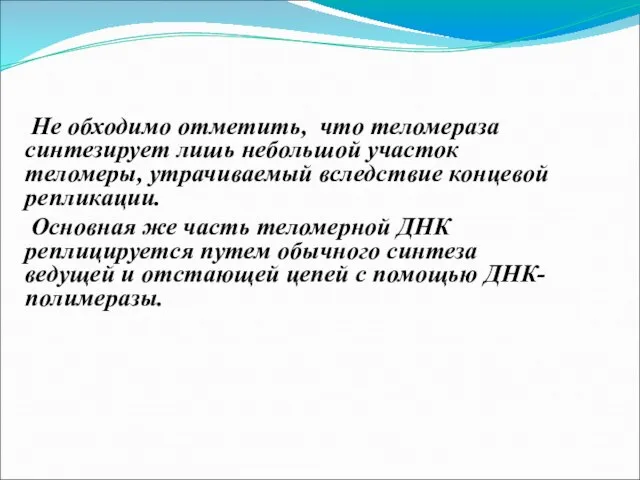 Не обходимо отметить, что теломераза синтезирует лишь небольшой участок теломеры, утрачиваемый вследствие