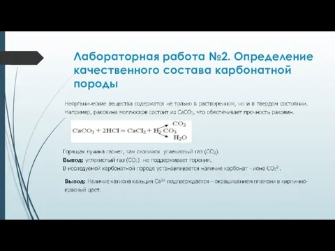 Лабораторная работа №2. Определение качественного состава карбонатной породы