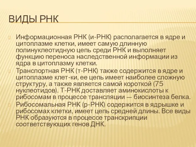 Виды РНК Информационная РНК (и-РНК) располагается в ядре и цитоплазме клетки, имеет