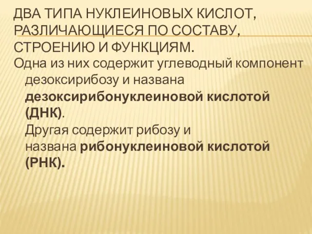 два типа нуклеиновых кислот, различающиеся по составу, строению и функциям. Одна из