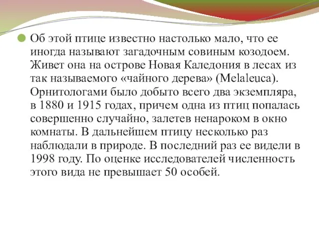 Об этой птице известно настолько мало, что ее иногда называют загадочным совиным