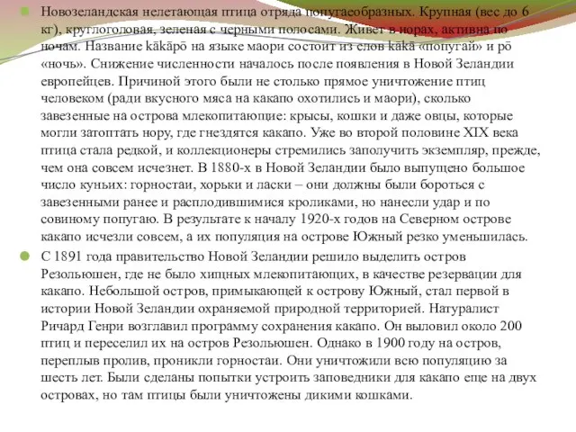 Новозеландская нелетающая птица отряда попугаеобразных. Крупная (вес до 6 кг), круглоголовая, зеленая