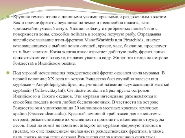 Крупная темная птица с длинными узкими крыльями и раздвоенным хвостом. Как и