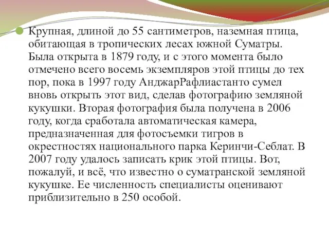 Крупная, длиной до 55 сантиметров, наземная птица, обитающая в тропических лесах южной