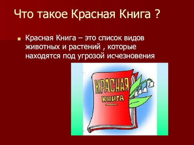 Что такое Красная Книга ? Красная Книга – это список видов животных