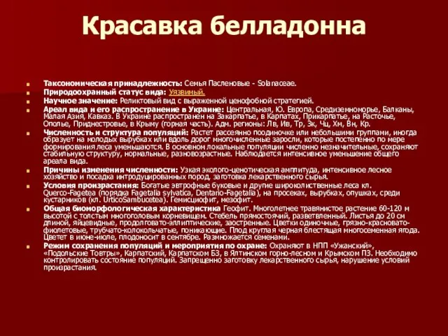 Красавка белладонна Таксономическая принадлежность: Семья Пасленовые - Solanaceae. Природоохранный статус вида: Уязвимый.