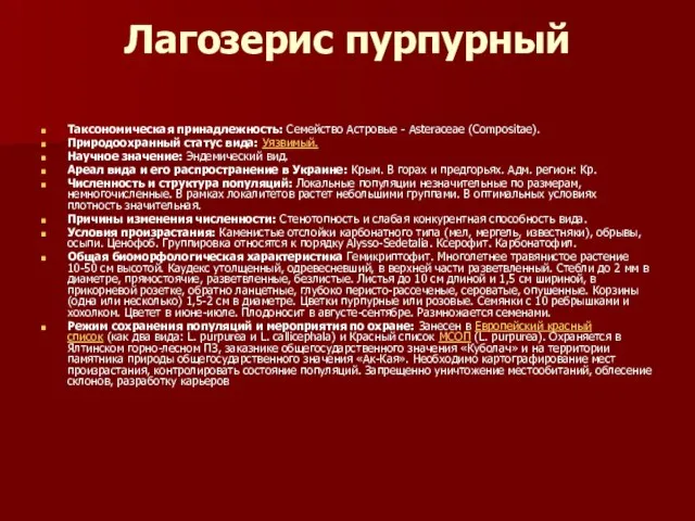 Лагозерис пурпурный Таксономическая принадлежность: Семейство Астровые - Asteraceae (Compositae). Природоохранный статус вида: